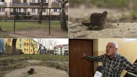 Dąbrowa Górnicza. Urzędnicy wycięli 61 trzepaków