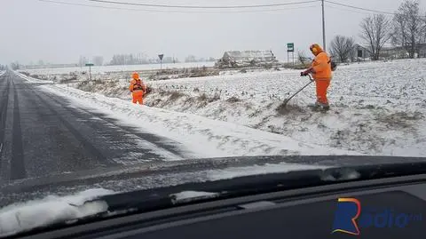 Koszą trawę czy śnieg? 