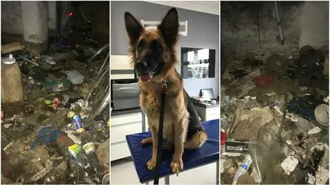 Pół roku więzienia za znęcanie się nad suczką. "Przełomowy wyrok"