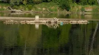 Bug odkrył wrak statku parowego. Najprawdopodobniej to parowiec z elbląskiej fabryki