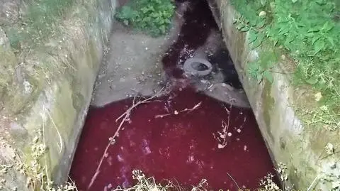 Łódzkie: rzeka zmieniła kolor. Sprawę bada prokuratura