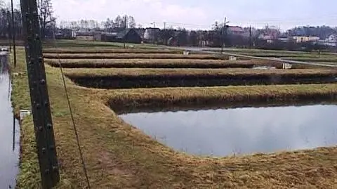 Prezes Stawów Milickich usłyszał zarzuty