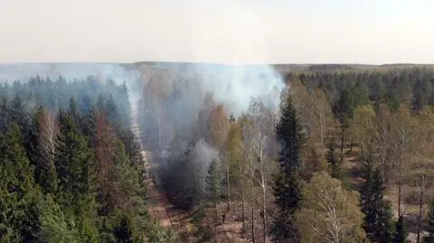 Polish state forestry issued high fire alert for western parts