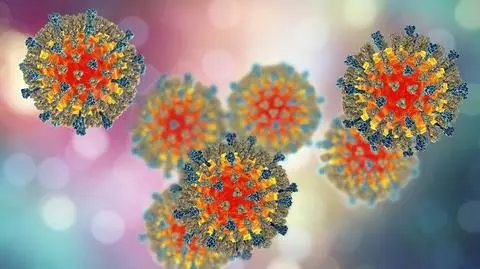 Measles is a preventable but contagious disease that can kill a child or leave it blind, deaf or brain-damaged