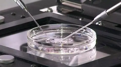Częstochowa chce refundować in vitro