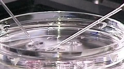 Częstochowa z własnej kasy chce refundować in vitro