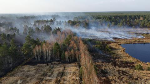 Wysokie zagrożenie pożarowe na terenie kraju