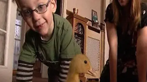 Kaczka nauczyła chłopca chodzić