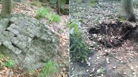 Ukradł cenny kamień. Znaleziono złodzieja "Szachownicy"