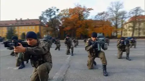 Territorial Defence Force was formed in 2017 with a planned strength of about 50.000