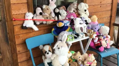 Schronisko w Tczewie wymyśliło "prezenciaki" na święta