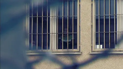 Wychodzą na wolność