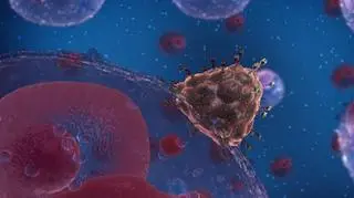 Liczba przypadków HIV w Rosji niemal się podwoiła