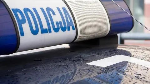 Pijany policjant wjechał w drzewo
