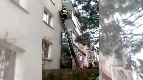 Pies był zamknięty na balkonie