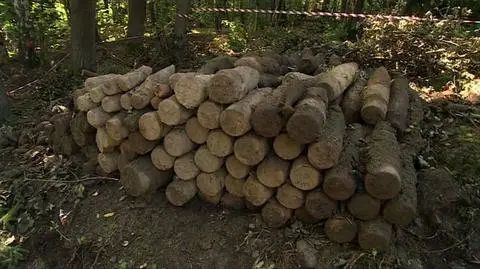Wykopali już 20 ton niewybuchów, wciąż znajdują nowe