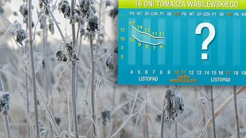 Wasilewskiego prognoza pogody na 16 dni: ocieplenie nie potrwa długo