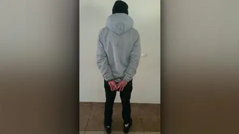 Zakradł się na balkon, porwał miskę z sałatką