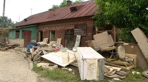 Wilków nie miał głowy do wyborów