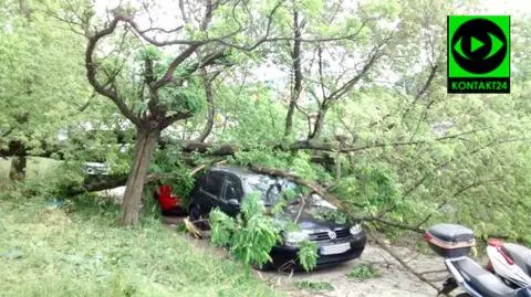 Wielkie drzewo runęło na dwa samochody