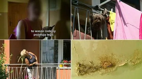 Właściciele psów uprzykrzają życie sąsiadom