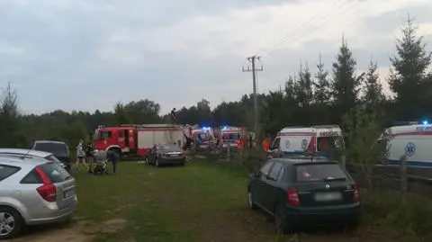 Szerszenie zaatakowały uczestników biegu