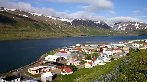 Islandia "najmniej seksistowskim krajem świata". Polska w środku stawki