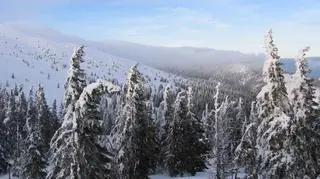 Karkonosze zimą