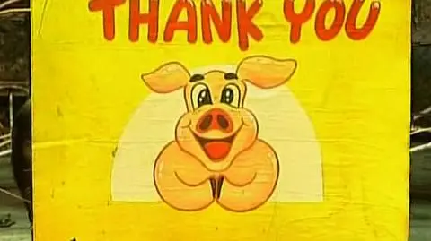 Świński występ w Tajlandii