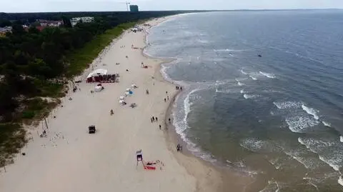 Niewiele robimy, aby pomóc morzu