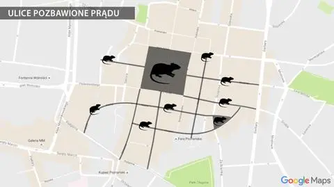 Brak prądu przez szczury w Poznaniu