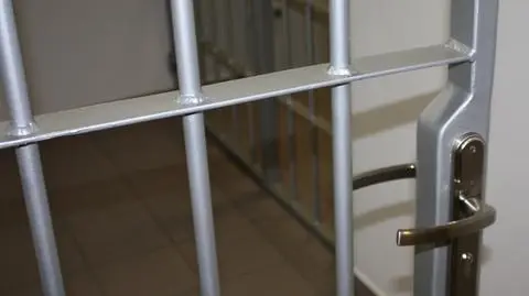 Dziecko porzucone na śmietniku. Areszt dla matki