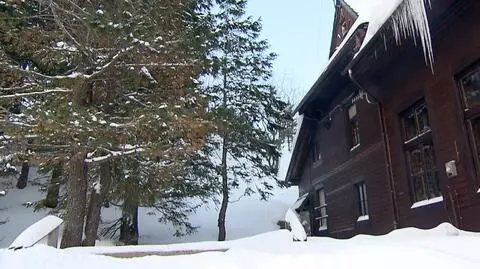 Kto ochroni schroniska?
