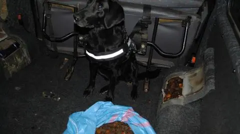 Obywatel Ukrainy próbował przemycić bursztyn 