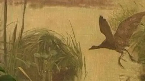 Tusk codziennie patrzy na odlatującą kaczkę