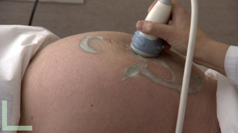 Koniec anonimowego in vitro?