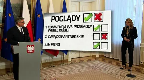 Spór o konwencję antyprzemocową