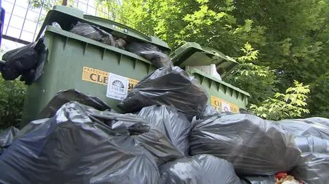 Wszystko o śmieciach