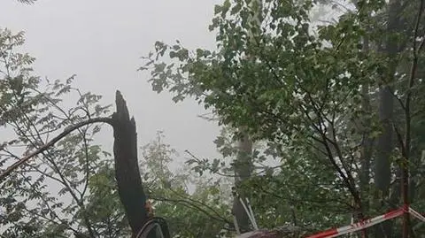 Śląskie. Dwie osoby poszkodowane po wypadku wiatrakowca