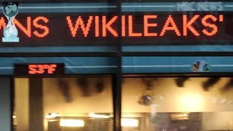 Haker Wikileaks zatrzymany