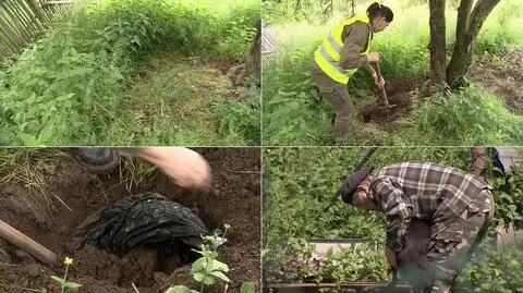 Pochował 130 psów w ogródku. "Tam już nie ma śladu, robaki wszystko zjadły"
