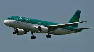 Do incydentu doszło na pokładzie samolotu linii Aer Lingus