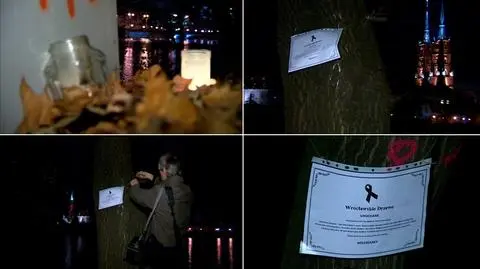 Wrocławianie protestowali przeciwko wycince drzew