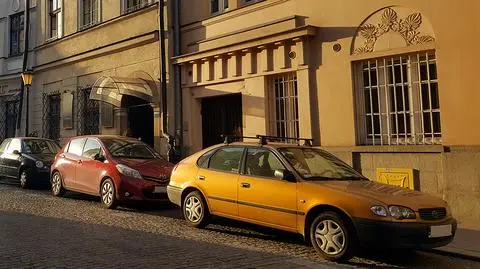 Sposoby na walkę ze smogiem. Samorządy proponują różne rozwiązania