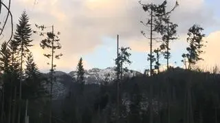 Halny wiał w święta Bożego Narodzenia 2013 r.