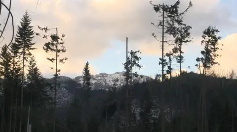 TPN naprawia zniszczenia po halnym