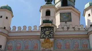 Koziołki wyjechały, tryknęły się i... zastygły w miejscu