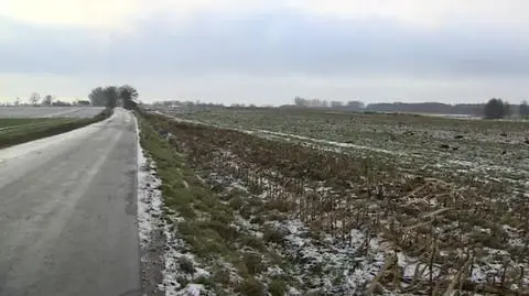 Martwe norki przy drodze pod Wrześnią