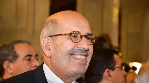 ElBaradei "mianowany premierem" Egiptu
