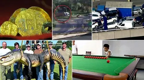 Egzamin na prawo jazdy, aligator gigant czy karambol na sto aut? Wybierz wideo tygodnia